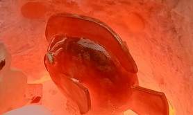 Ateliers d'Art et Création - LES SOLEILS D'ETOILE - Poterie Raku