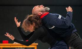 Don Quichotte, l'homme à la tâche - Stéphanie Fuster 