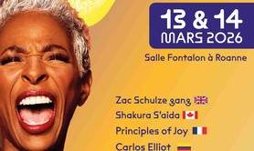 Roanne Blues Festival 7ème édition