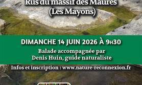 Balade nature : rus du massif des Maures