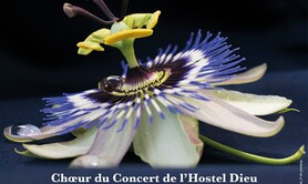 Les Larmes et la Grâce (œuvres chorales de Buxtehude)
