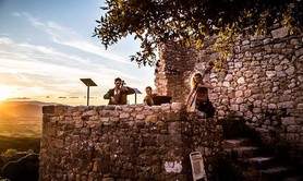 Pep's Lemon - Accordéon, contrebasse, violoncelle et percussions