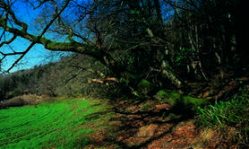 Site de Kernansquillec en Vallée du Léguer