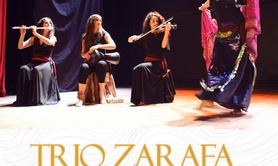 Musique et Danse Orientale - Trio Zarafa