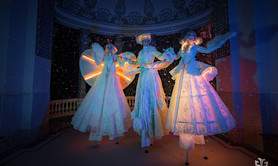 Cie Centaurée - Astraïa, échassiers blancs lumineux élégants