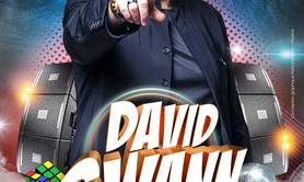 David SWANN  -  CHANTEUR DE VARIETES / LIVE TOUR 80