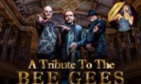 Night Fever - A tribute to The Bee Gees
