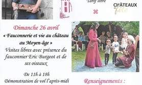 Fauconnerie et vie au château au Moyen-âge