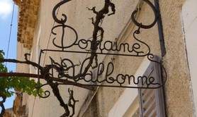 Domaine de la Chartreuse de Valbonne