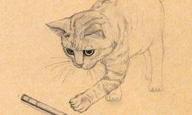 La Dessinerie - Cours de dessin ados/adultes