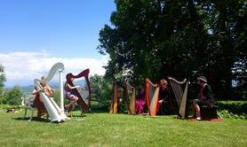 le petit conservatoire de la harpe  - cours de harpe celtique, Bientot a VANNES