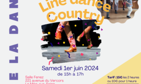 Stage de danse country et line dance au Mée sur Seine