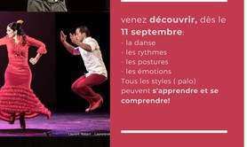 FlamaFlamenca - Danse  Flamenco et Sévillanes 