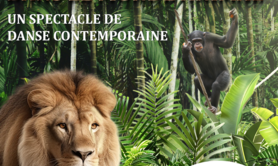 Groupe Art's - Incursion dans le monde animal