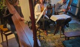 HarpiStick trio - Répertoire éclectique