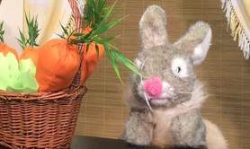 Drôle de lapin