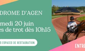 Spectacle de courses hippiques