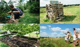 Jardin simply permaculture