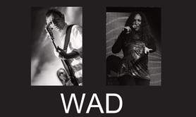 WAD  Groupe - Animation de vos soirées