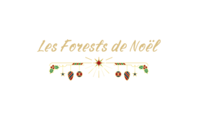 NAKAMA - Music & Friends - Les Forests de Noël