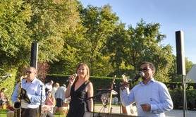 SHAKE WELL - Ambiance musicale sur-mesure