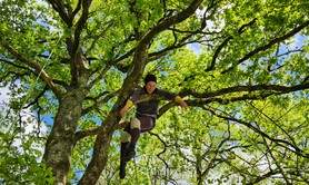 Stage de danse encordée dans les arbres