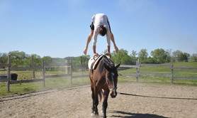 CHEVAL MAGIQUE - théâtre équestre etr équitation en liberté
