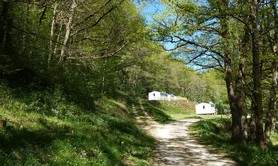 le Masnaut