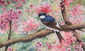 L'atelier de Clarisse - Cours de dessin/peinture