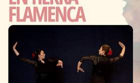 EN TIERRA FLAMENCA