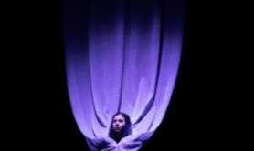 Zadig - Théâtre du Chêne Noir, Avignon