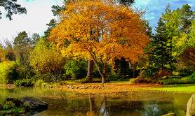 Concours photos 