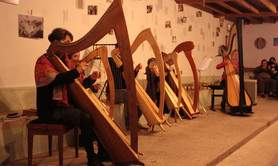 L'Oiseau-Lyre - cours de harpe, traverso