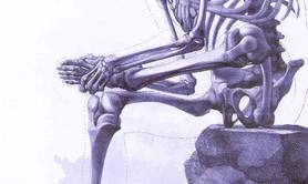 Véronique LARCHER - Formation anatomie/physiologie 2025/2026