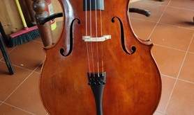 Représentant en lutherie  - Présente Violoncelles neufs et anciens