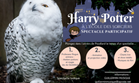 GUILLERMIN MUSIQUE - Spectacle HARRRY POTTER 