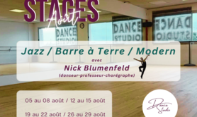 Stage de Danse d'Eté avec Nick Blumenfeld
