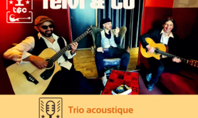 Teivi & Co - Trio acoustique cherche dates en Bretagne et au delà