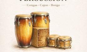 Nicolas Briant - cours de percussions latines  (congas, cajon, bongos, ...) 
