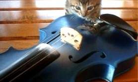 Le violon bleu - Initiation au violon sans solfège.