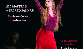 Peña Estrella - Cours de danse Flamenco HDF