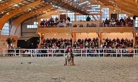 Cie Les Yeux dans les Crins - Rita & Rio