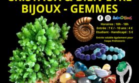 Minéraux Fossiles Cristaux Bijoux + Préhistoire