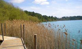 Plage du lac d'Arjuzanx