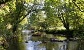 Vallée du Léguer