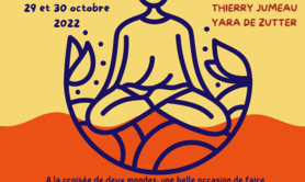 Thierry Jumeau et Yara de Zutter - Yoga et clown, le clown yoguiste. Premier pas vers soi