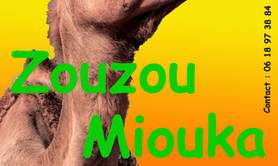 ZOUZOU MIOUKA - MUSIQUE BERBERE TOUAREG GNAWA LATINO
