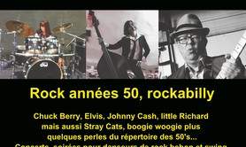 THE ROCKINBIRDS - Concert trio The Rockinbirds 