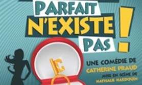 L'Homme Parfait N'Existe Pas ! - Tournée