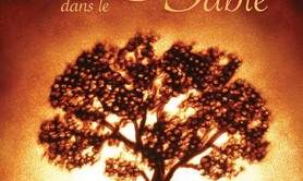 Des rêves dans le sable - dès 5 ans